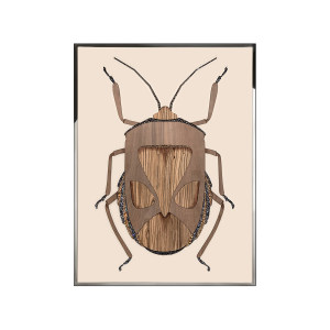 Beetle C装饰画