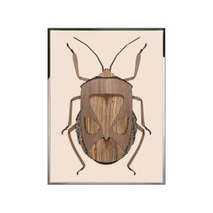 Beetle C装饰画